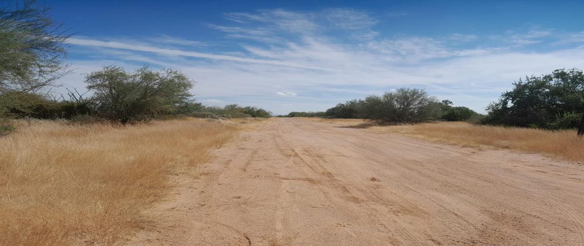 Foto de terreno habitacional en venta en tierras nuevas , real del alamito [fraccionamiento campestre], hermosillo, sonora, 25661810 No. 04